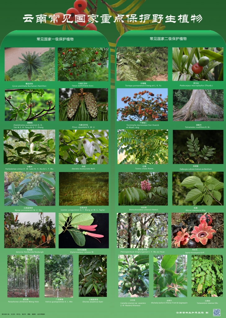 以案普法：风险国度沉点；ぶ参镒